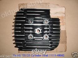 Suzuki TS125 Cylinder Head 1978-1979 NOS TS 125 CYL Top HEAD 11111-48002